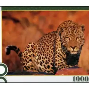 Beställ idag | Trefl Leopard (1000)