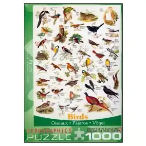 Nytt lägre pris - EuroGraphics Birds (1000)