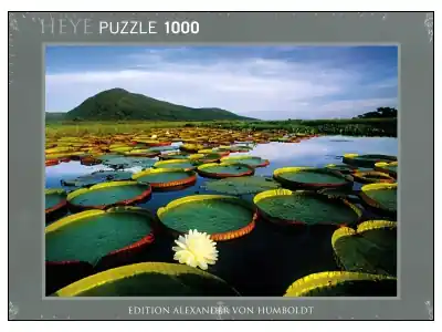 Heye Humboldt - Victoria Lily (1000) | Topprodukt