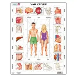 Larsen Rampussel - Vår Kropp (35) | Slutrea