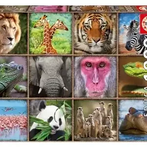 Topprodukt | Educa Wild Animals Collage (1000)