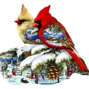 SunsOut Winter Cardinals (800) | Rabatt