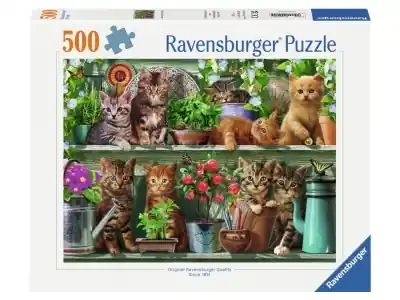 Mycket uppskattad | Ravensburger Cats on the Shelf (500)