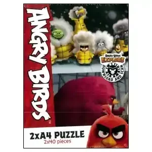 Rovio Angry Birds - Yellow Winter Jackets (2 x 40) - Toppsäljare