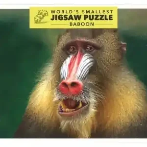 World‘s Smallest Baboon (234) | Passa på