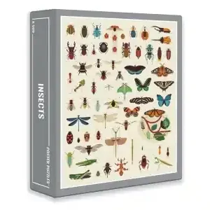 Cloudberries - Insects (500) | Bara denna vecka