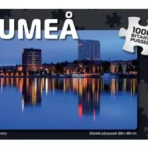 Enkel retur | Svenskapussel Umeå - Älvsvy (1000)