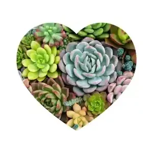 Puzzlocado Träpussel - Heart Puzzle, Succulents (172) | Kampanjen går snart ut