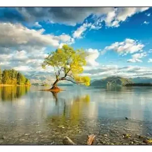 Puzzlocado Träpussel - Wanaka Lake (450) | Endast denna vecka