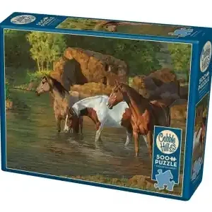 Beställ idag | Cobble Hill Horse Pond (500)