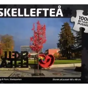 Svenskapussel Skellefteå - Färg & Form, Stadsparken (1000) - Kan beställas online