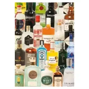 Väl omtyckt - Piatnik Taste of Gin (1000)
