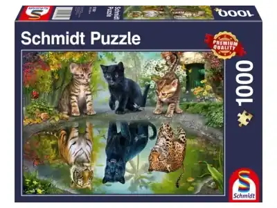 Premium - Schmidt Dream Big! (1000)