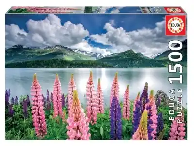 Educa Lupins on the Shores of Lake Sils, Switzerland (1500) - Premium