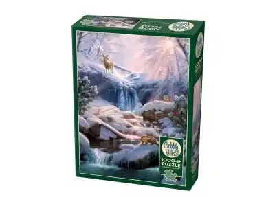 Kanonpris - Cobble Hill Mystic Falls in Winter (1000)