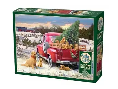 Cobble Hill Family Outing (1000) - Utförsäljning