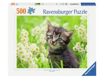 Nyhet i sortimentet - Ravensburger Kitten in the Meadow (500)