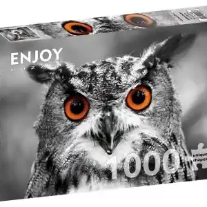 Enjoy Curious Owl (1000) | Rabatter