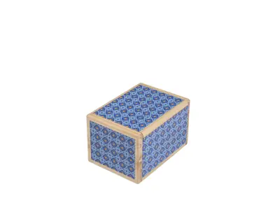 Secret Box - Kyoto (Philos) - Slutrea