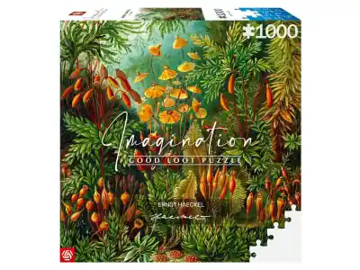 Skaffa nu - Good Loot Imagination - Ernst Haeckel, Muscinae (1000)