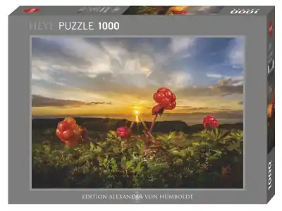 Missa inte | Heye Humboldt - Cloudberries (1000)