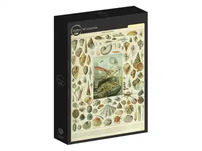 Grafika Nouveau Larousse - Molluscs (1000) - Snart slut