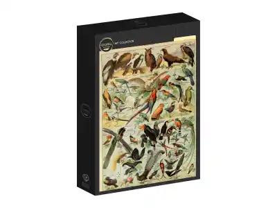 Kundfavorit - Grafika Larousse pour Tous - Birds (1000)