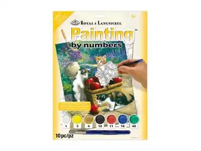 Royal & Langnickel Painting by Numbers - Bumper Crop | Tryggt köp