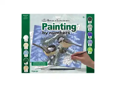 Royal & Langnickel Painting by Numbers - Pine Birds | Skynda dig