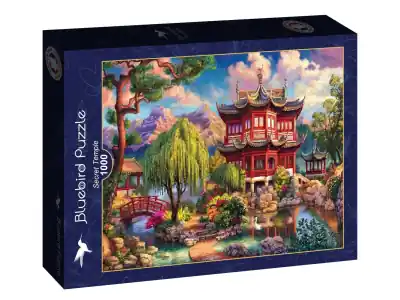 Fynd - Bluebird Puzzle Secret Temple (1000)