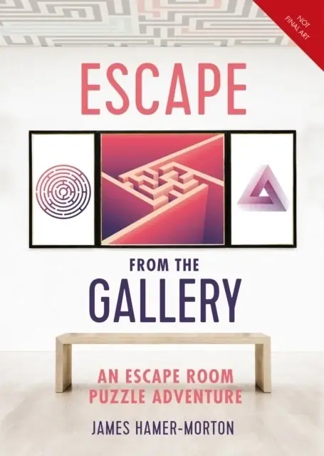 Köp nu | Escape From The Gallery An Entertaining Art Based Escape Room Puzzle