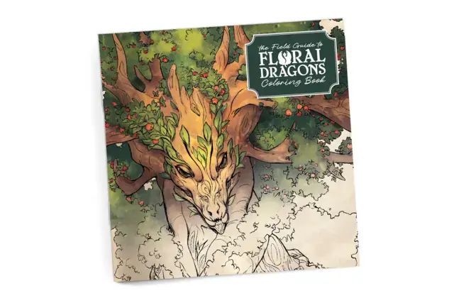 Floral Dragons Colouring Book - Rekommenderas
