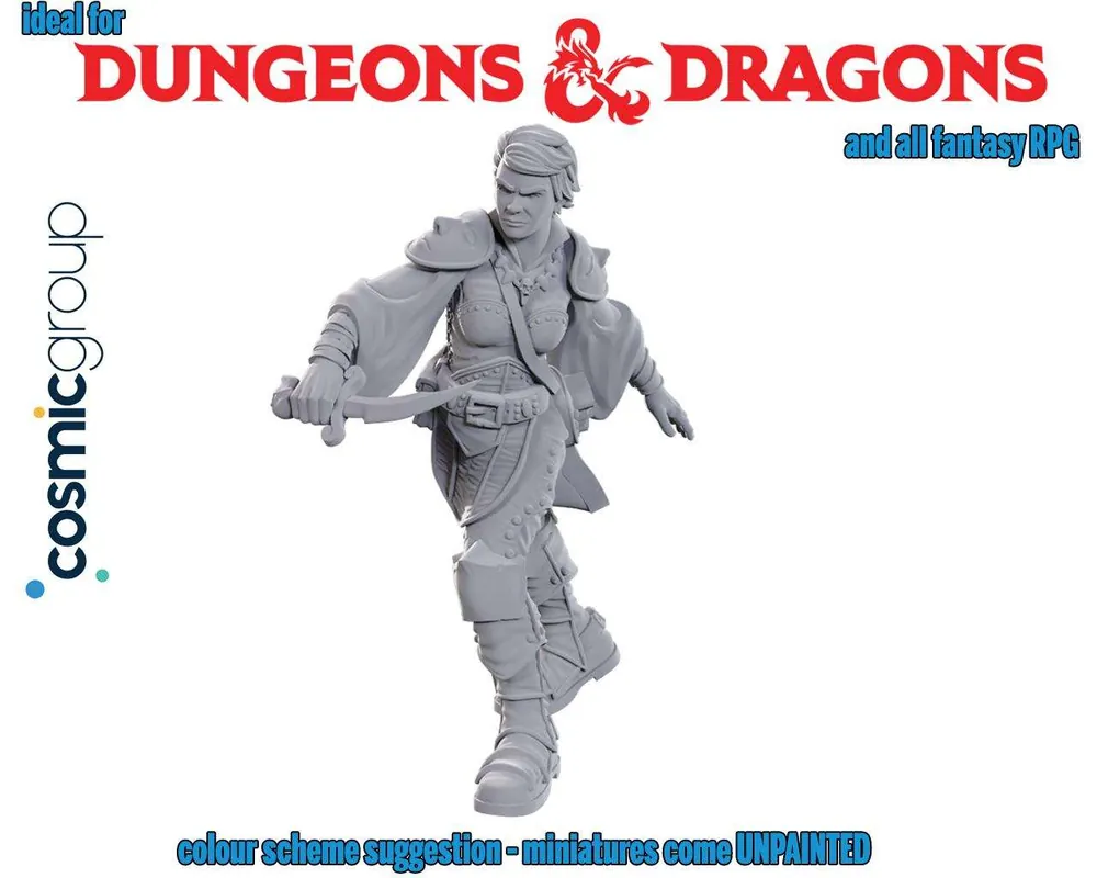 D&d Nolzur‘s Marvelous Miniatures – Svärdskämpare - Finns att beställa