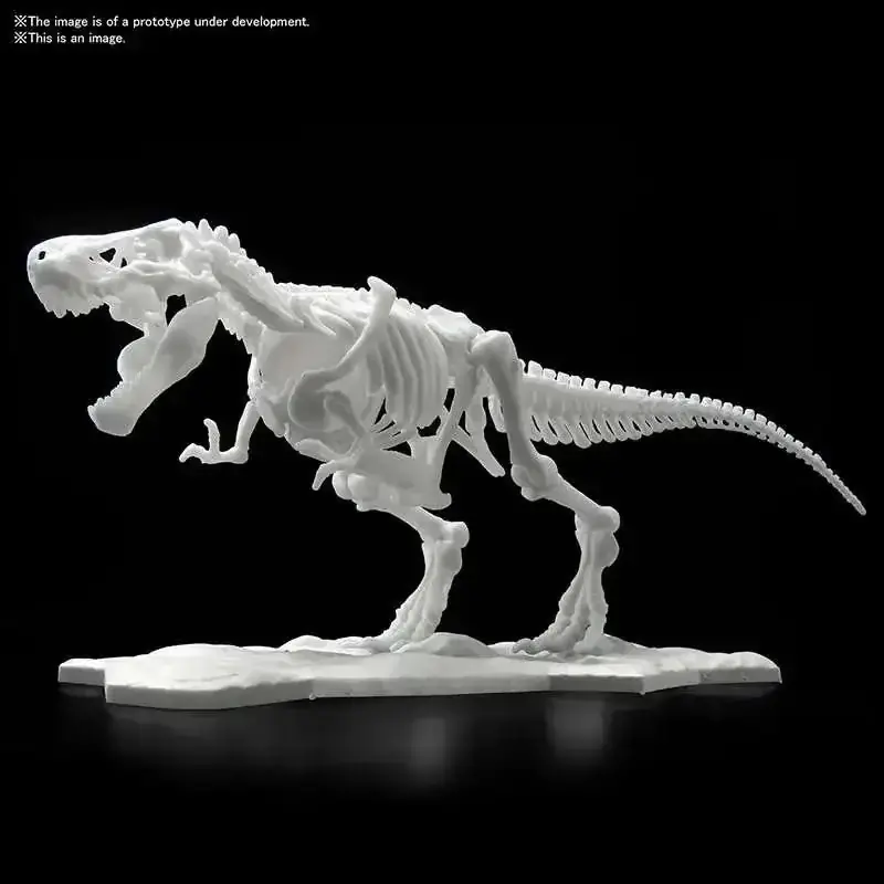 Dinosaur Limex Skelett Tyrannosaurus MK – En imponerande samlarobjekt | Extra rabatt