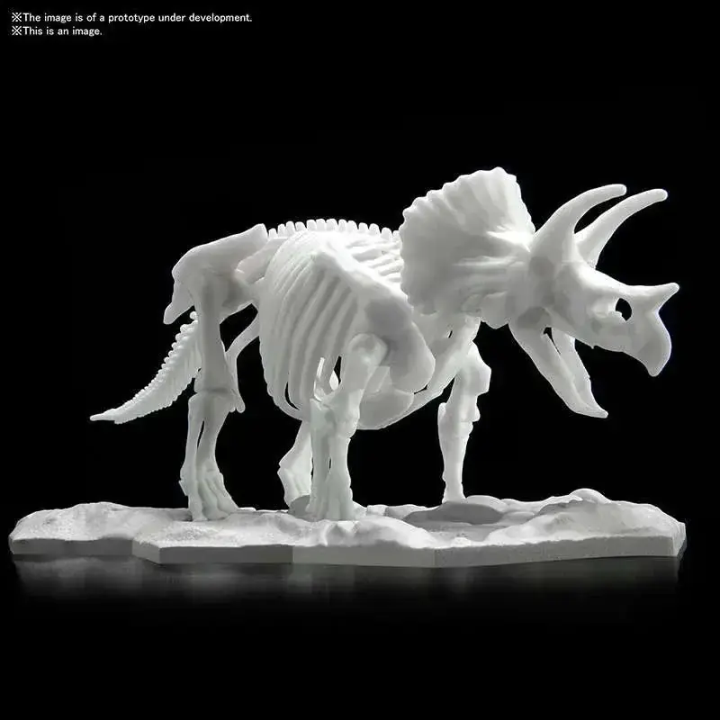 Triceratops Limex Skelett Modell | Handla online