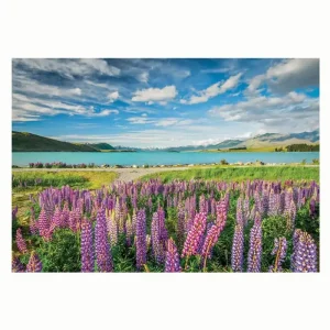Toppkvalitet | Clementoni Jigsaw Puzzle Flowers at Lake Tekapo 1500pcs. 2D Pussel