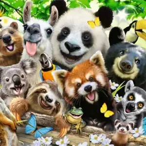 Bra pris - Wildlife Selfie