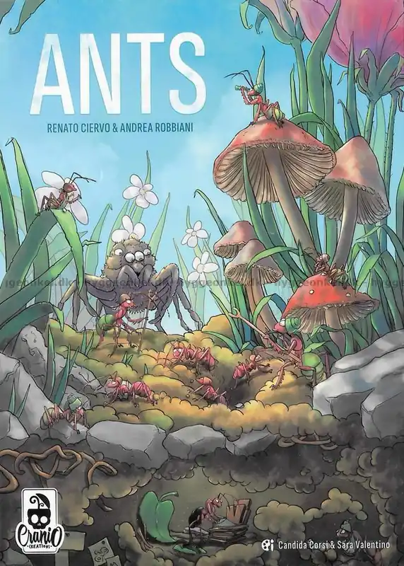 Ants - Gratis retur