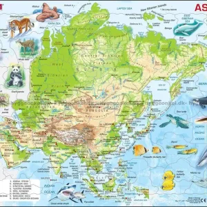 Asien - Rampussel, 63 bitar - Spara mer