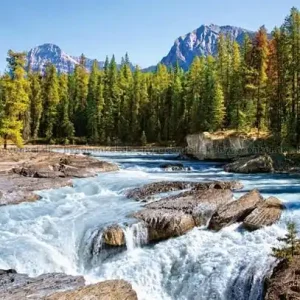 Athabascafloden, Jasper National Park, 1500 bitar | Dagens deal