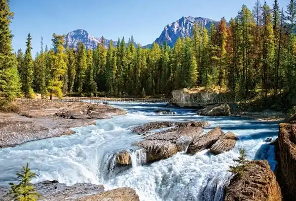 Athabascafloden, Jasper National Park, 1500 bitar | Dagens deal