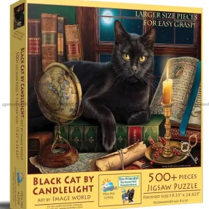 Bra pris - Den svarta katten bland böcker, 500 bitar