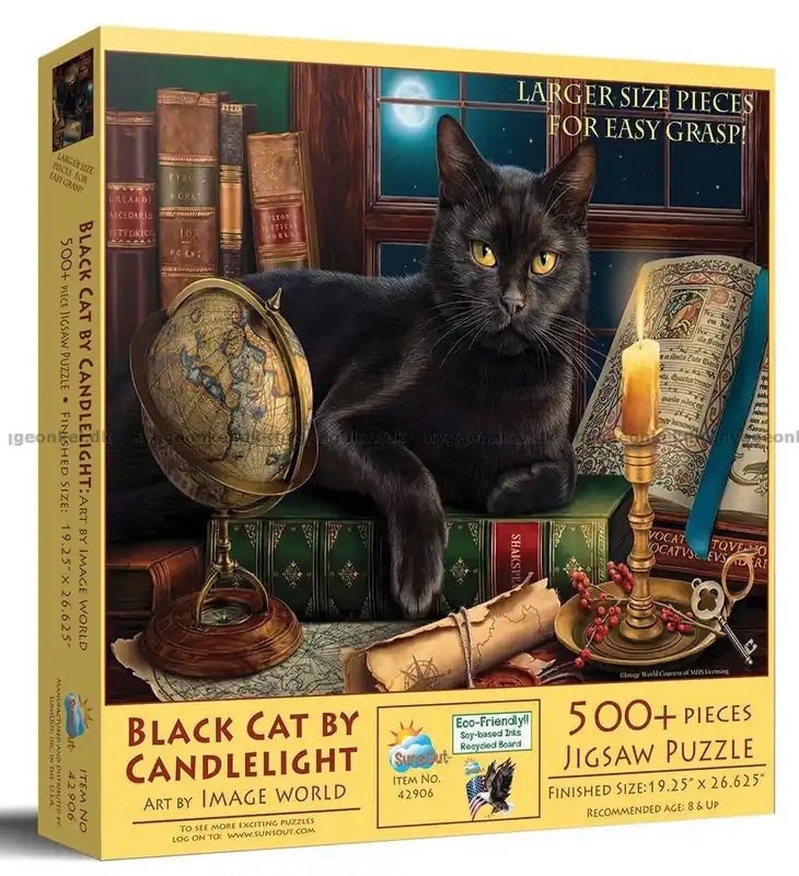 Bra pris - Den svarta katten bland böcker, 500 bitar