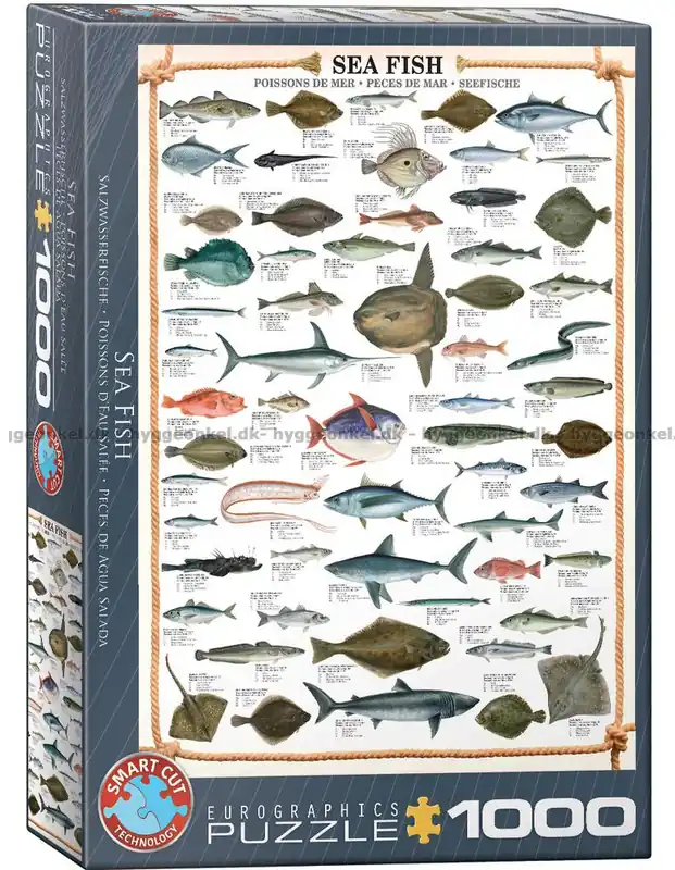 Fisk i havet, 1000 bitar - Dagens deal