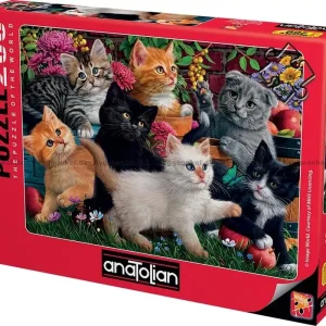 Direkt från fabriken - Kattungar leker, 260 bitar