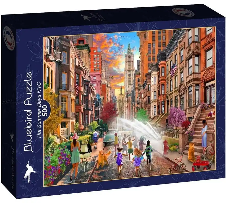 Kampanjpris - Maclean Sommardag i New York, 500 bitar