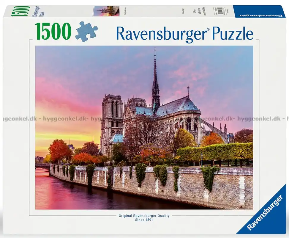 Spara mer | Notre Dame, Paris, 1500 bitar