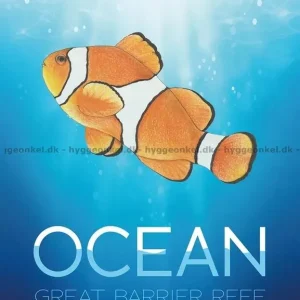 Ocean Great Barrier Reef | Kampanjpris