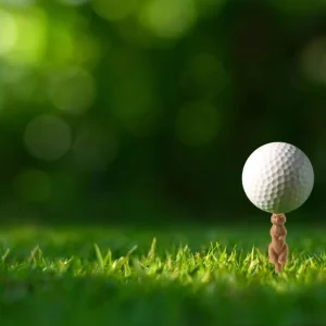 Spara nu - Kikkerland - Gopher Golf Tee S/6