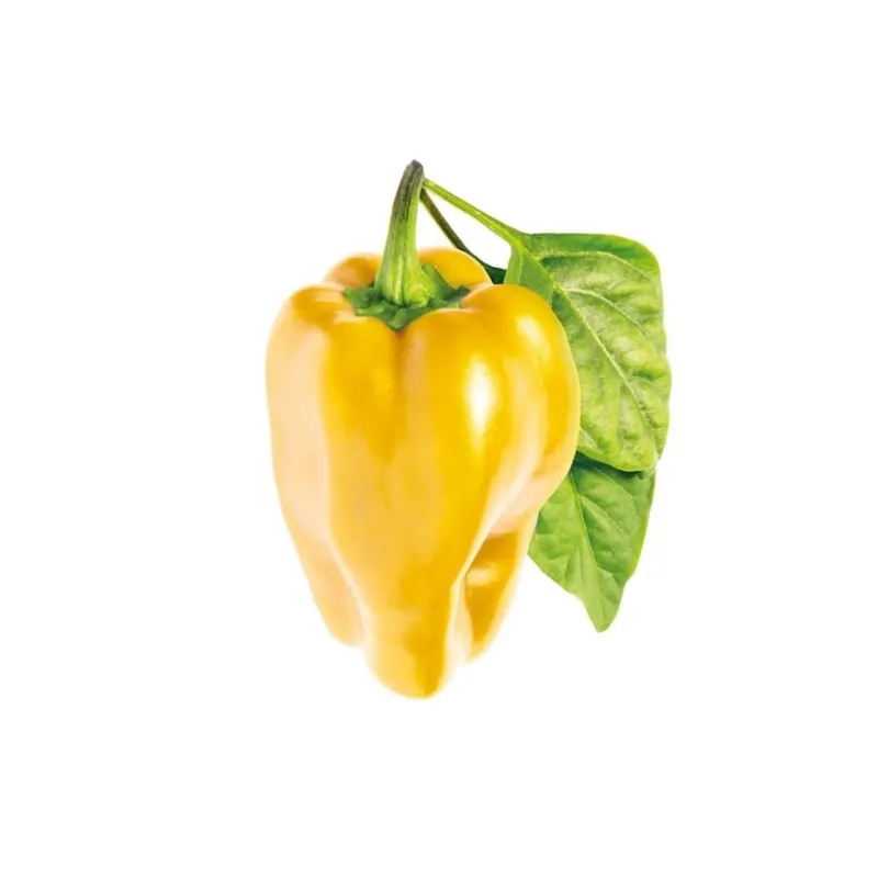 Tidsbegränsat erbjudande | Click and Grow - Smart Garden Refill 3-pack - Yellow Sweet Peppers (SGR53X3)